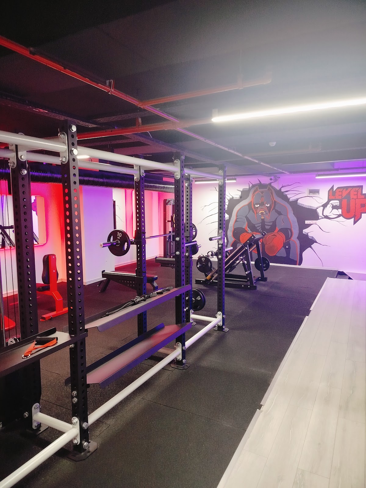 Squat kafesleri ve duvar resminin bulunduğu kuvvet alanı