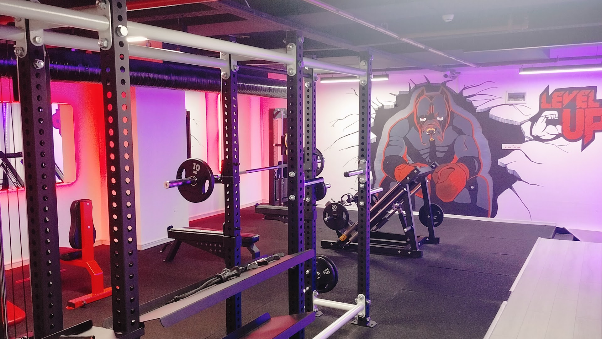 Squat kafesleri ve duvar resminin bulunduğu kuvvet alanı